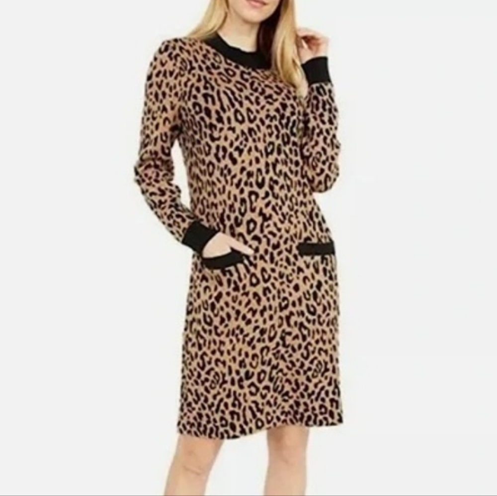 J. Crew Leopard Print Mockneck Long Sleeve Sweater Dress Size S Front Pockets